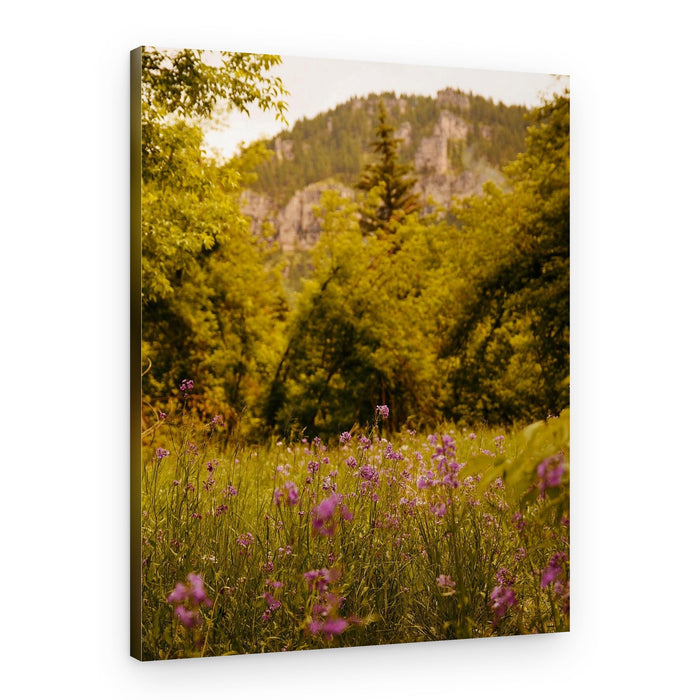 Wildflower Mountain Meadow – Canvas Print