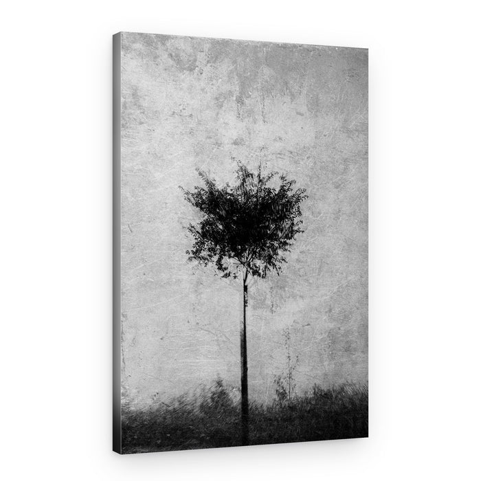 Monochrome Solitary Tree – Canvas Print