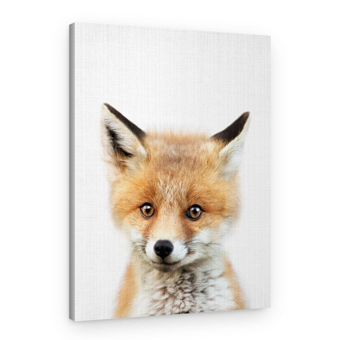 Sweet Baby Fox – Canvas Print
