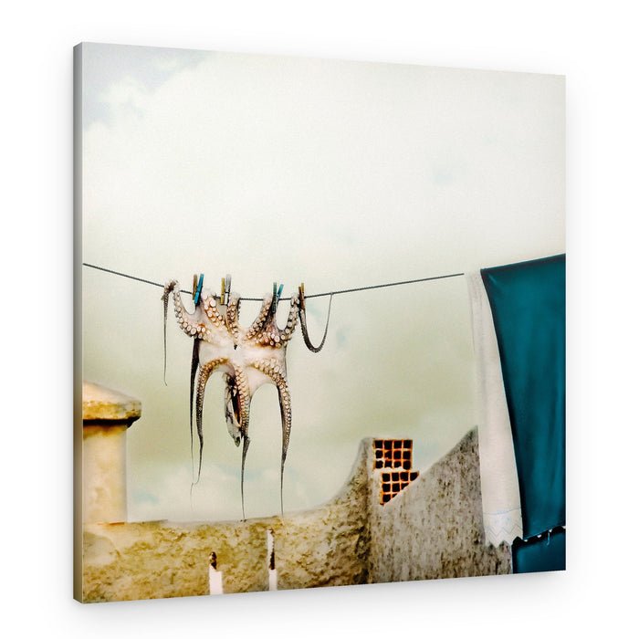 Mediterranean Octopus Laundry – Canvas Print