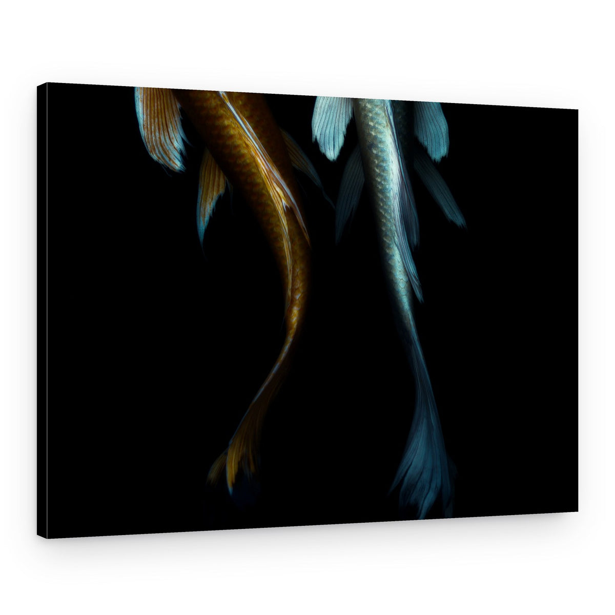 Graceful Koi Duo – Canvas Print