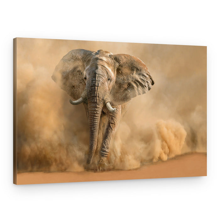 Majestic Elephant Dust Cloud – Canvas Print