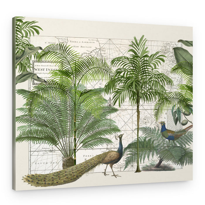 Tropical Map Wildlife – Canvas Print