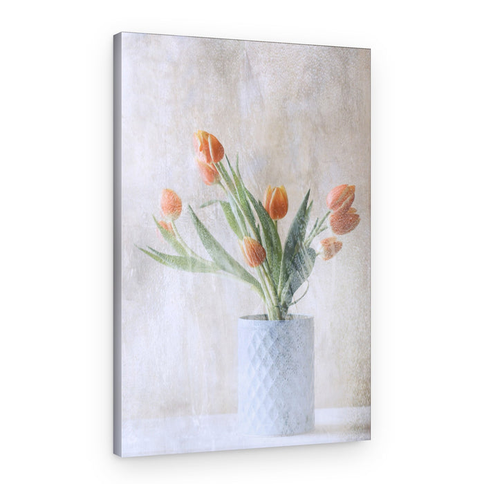 Soft Orange Tulips – Canvas Print