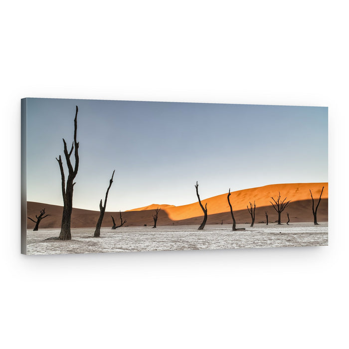 Dunes and Dead Trees – Canvas Print