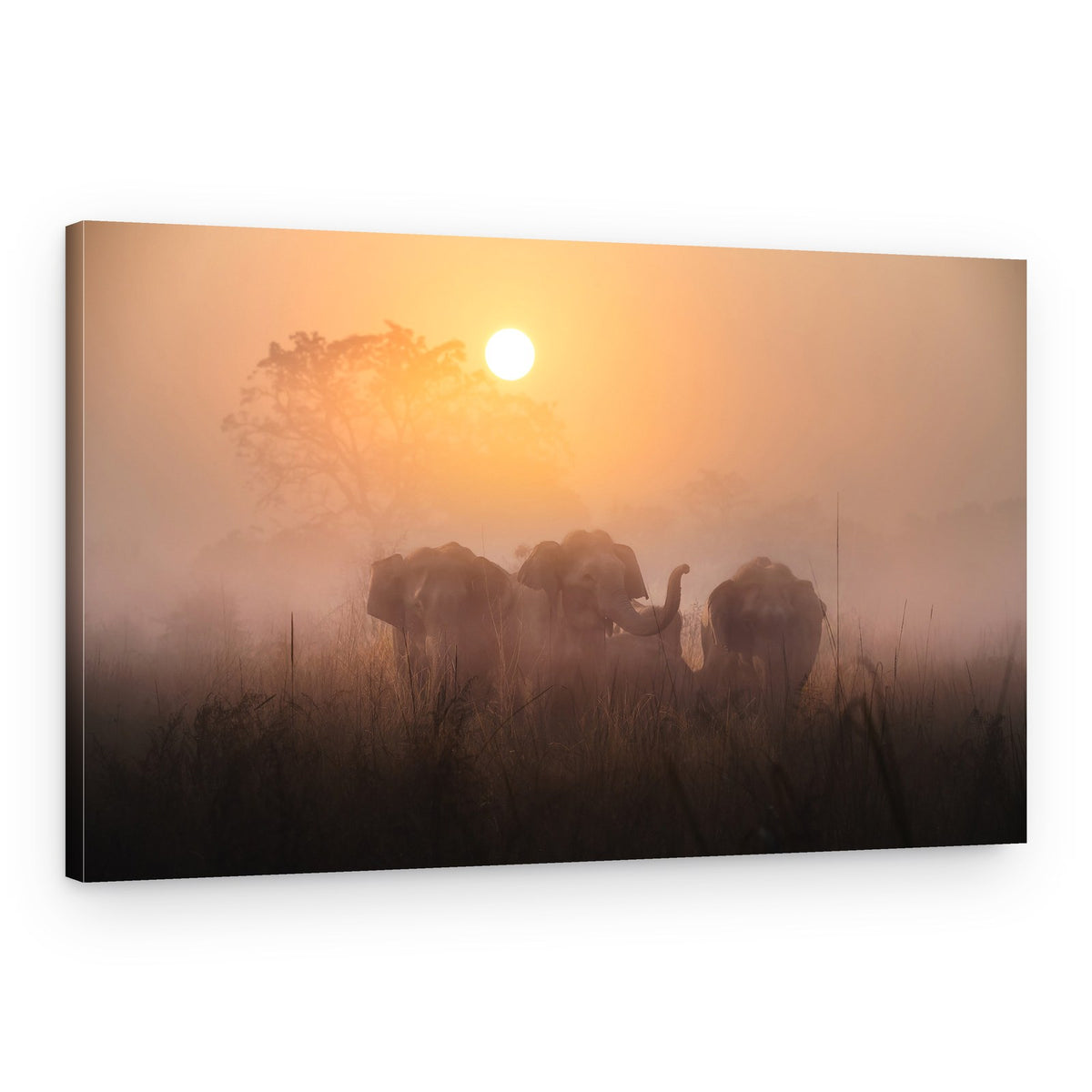 Elephants In Golden Mist – Canvas Print