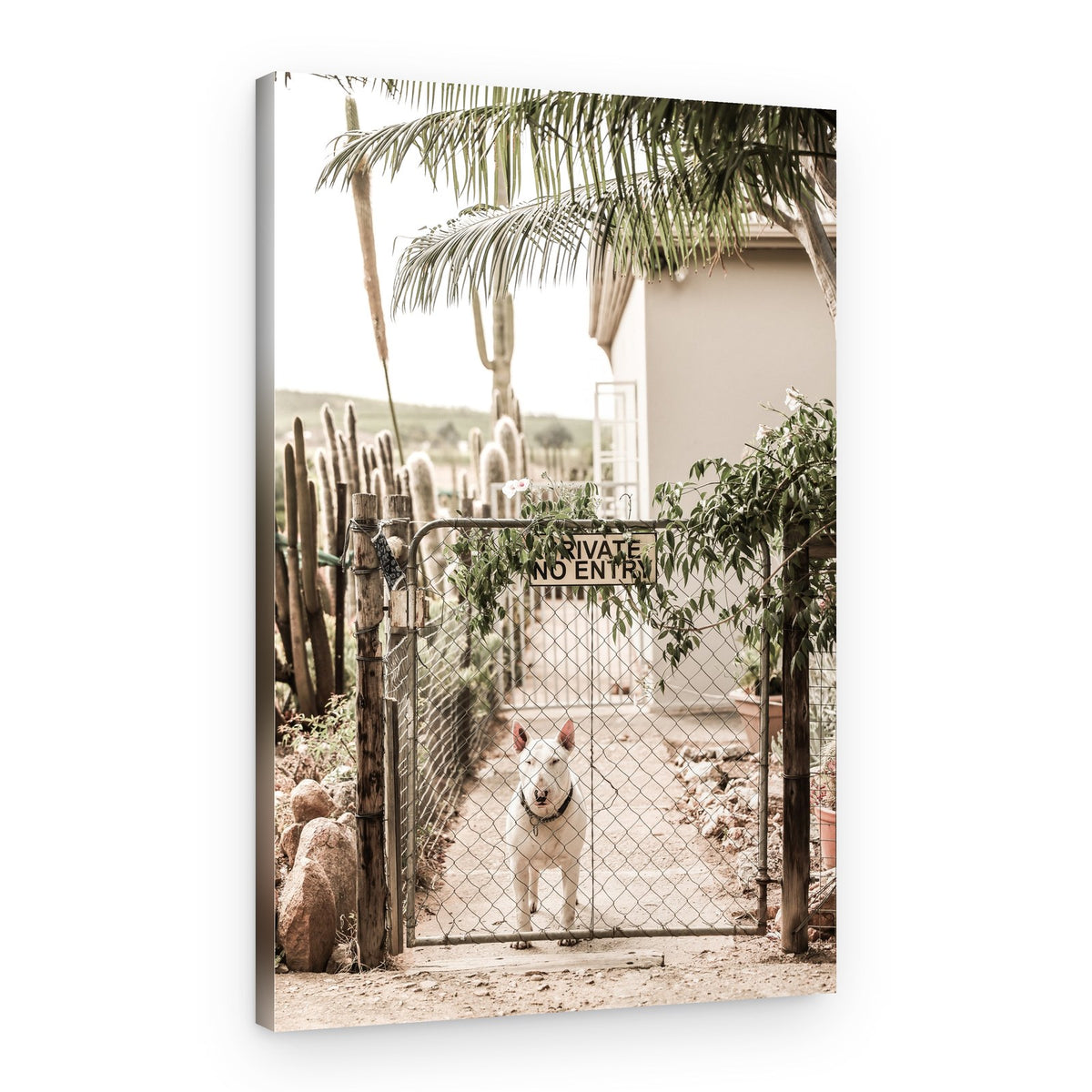Guarding Serenity – Canvas Print