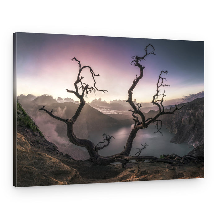 Twisted Tree Volcanic Lake – Canvas Print