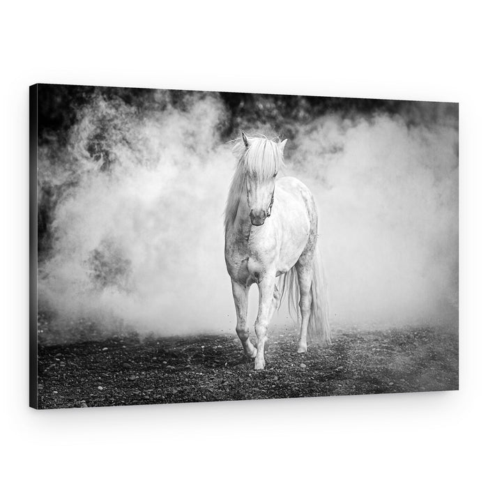 Ethereal Horse In Mist – Canvas Print
