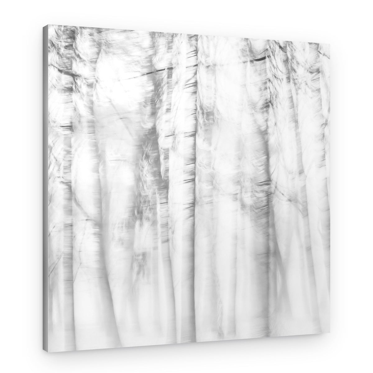 Ethereal Tree Lines – Canvas Print