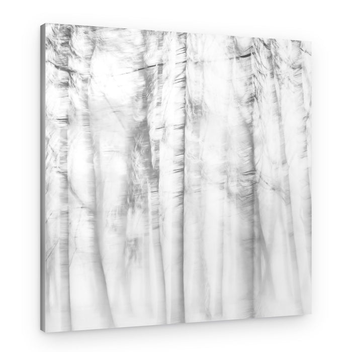 Ethereal Tree Lines – Canvas Print