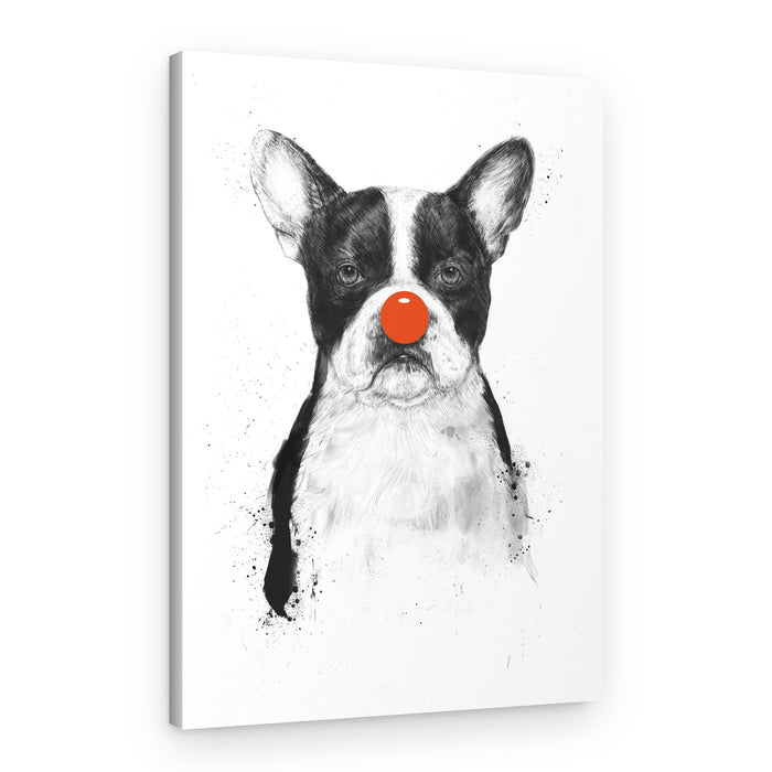 Boston Terrier Clown Dog – Canvas Print