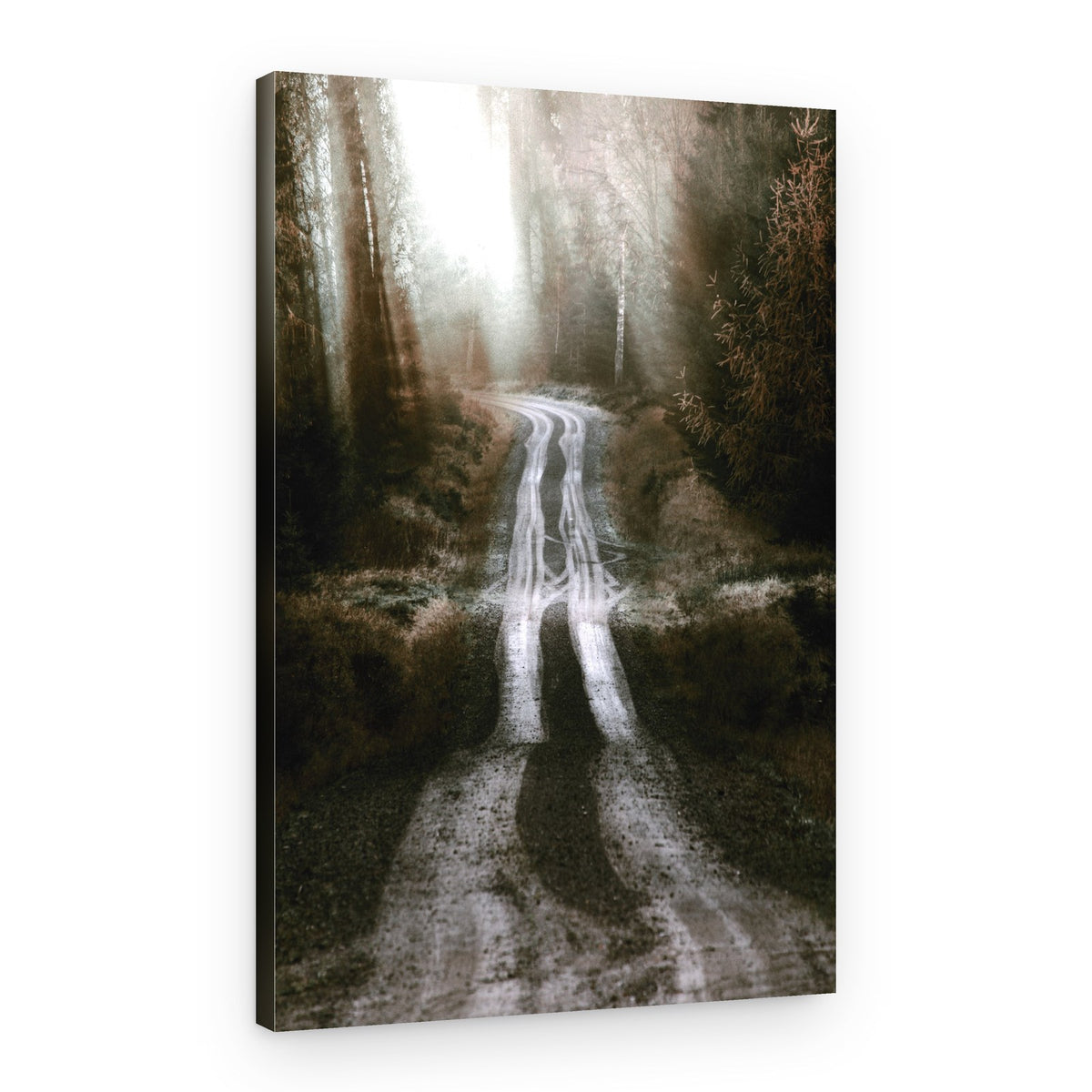 Misty Forest Road – Canvas Print