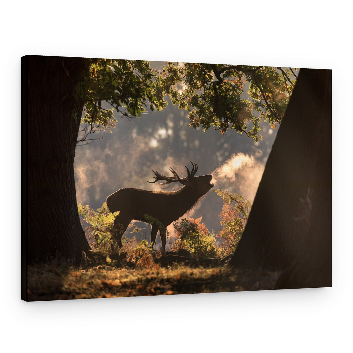 Majestic Stag Roaring Breath – Canvas Print