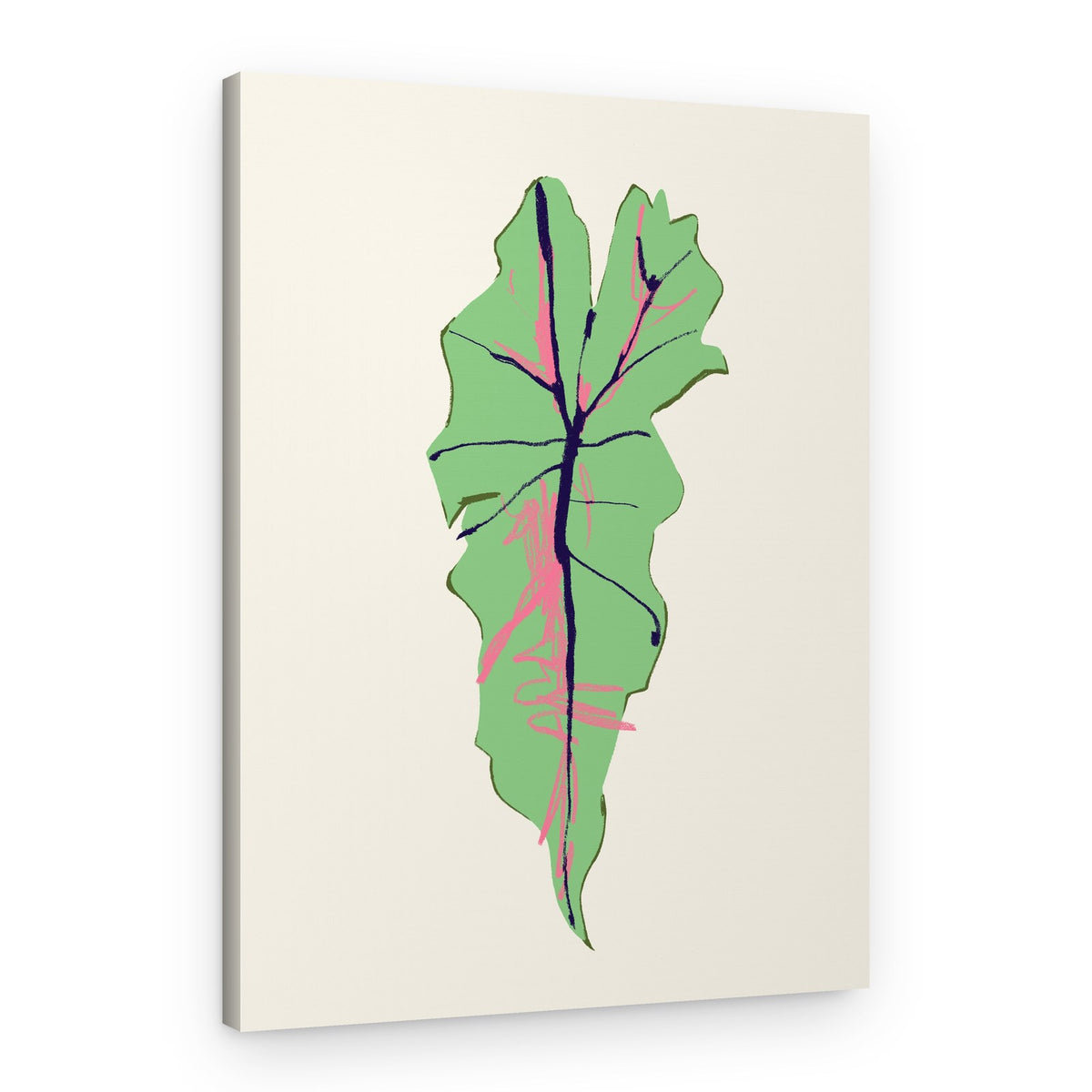 Pink Veined Green Leaf – Canvas Print