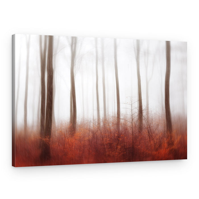 Misty Red Forest – Canvas Print