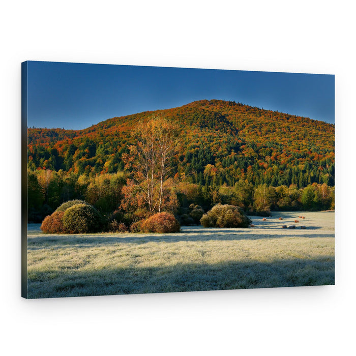 Autumn vs winter 2 – Canvas Print