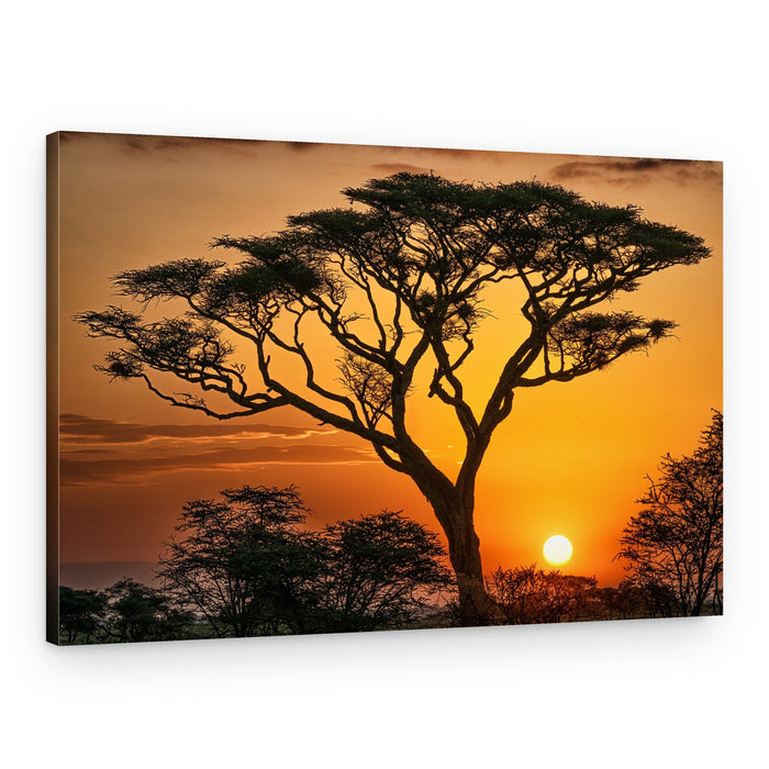 Golden Savanna Sunset – Canvas Print