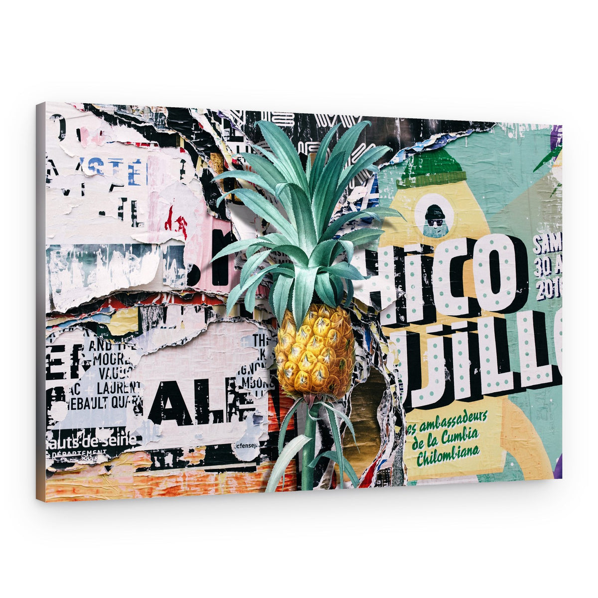 Pineapple Street Collage – Canvas Print