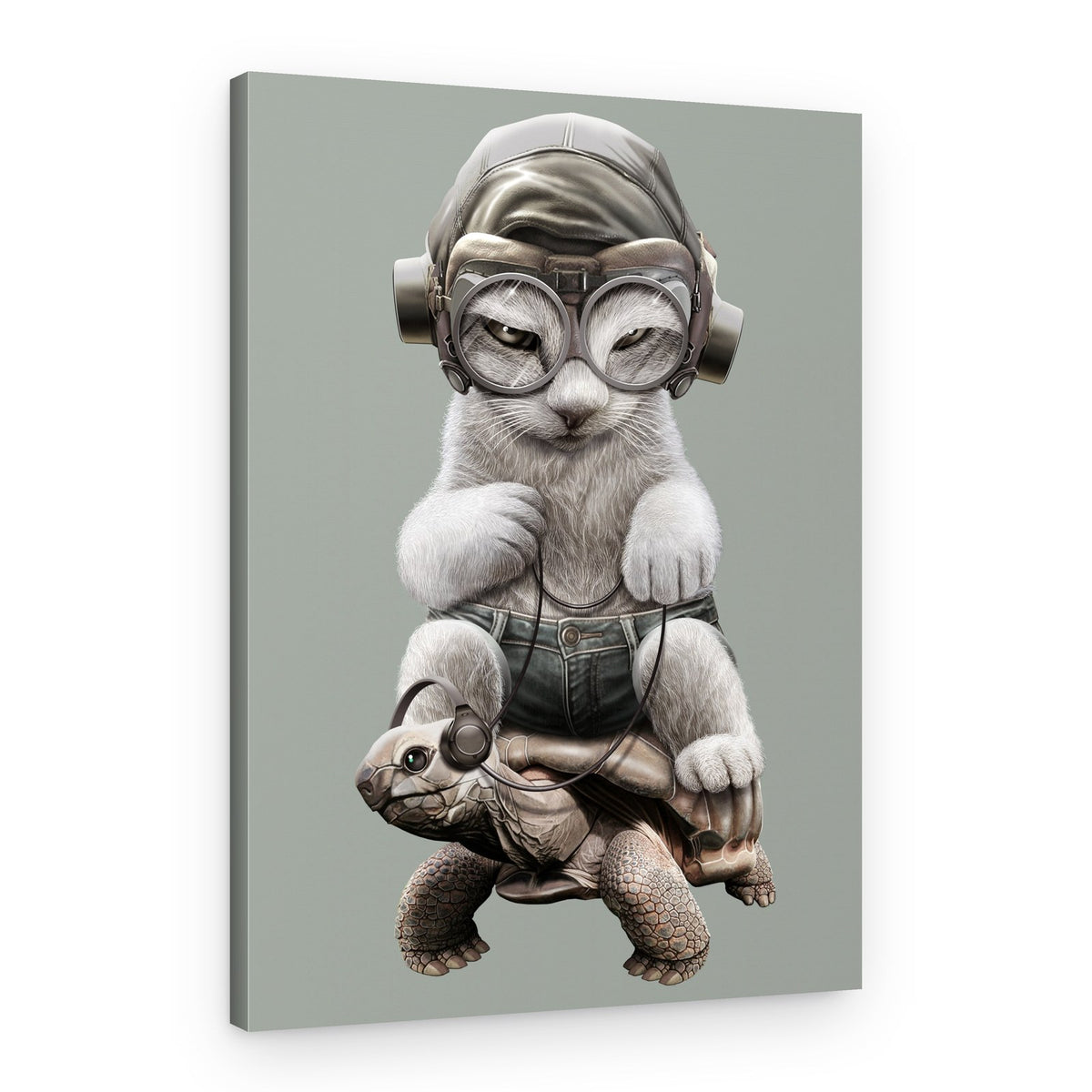 Cool Cat Pilot Tortoise – Canvas Print