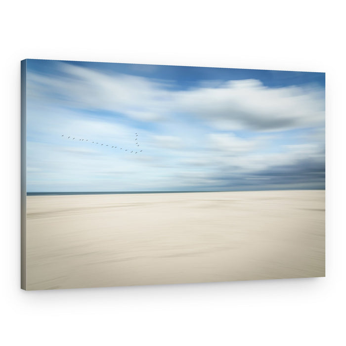 Birds Over Serene Beach – Canvas Print