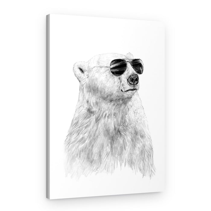 Cool Polar Bear Portrait – Canvas Print