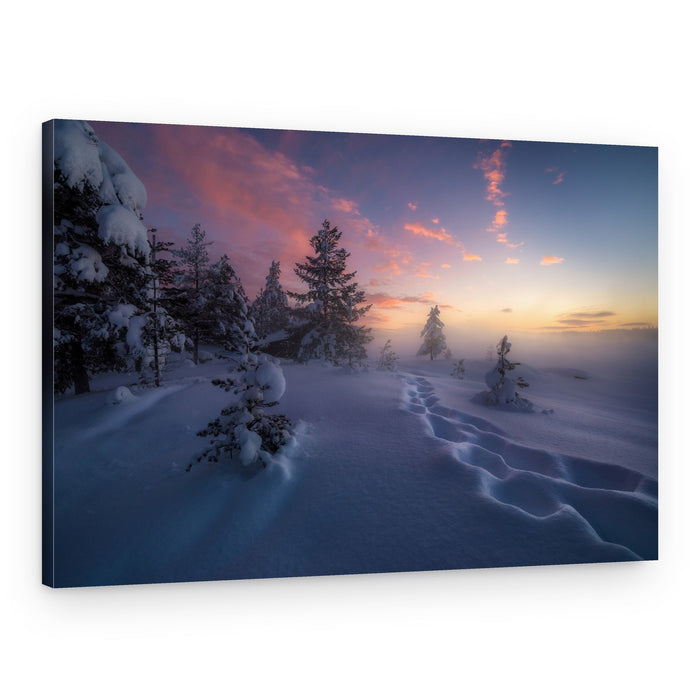 Winter Pink Sky Path – Canvas Print