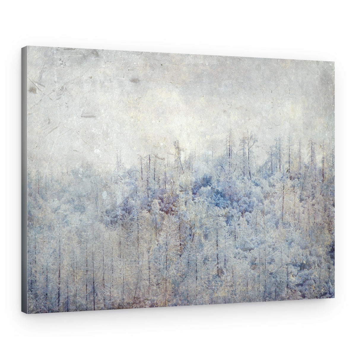 Serene Snowy Trees – Canvas Print