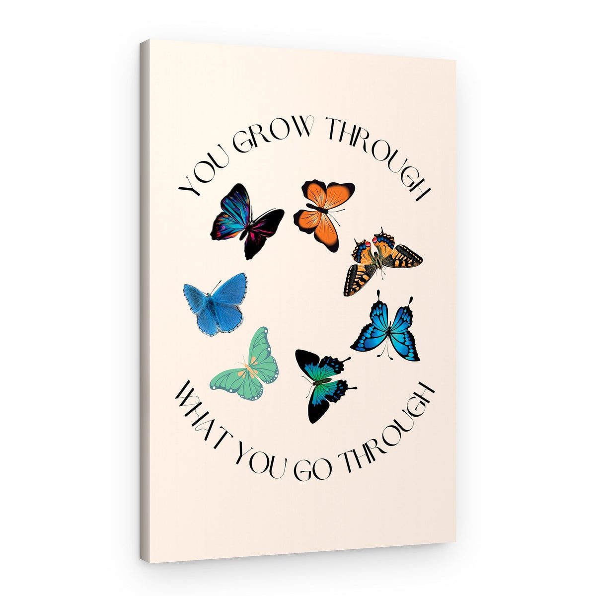 Inspirational Butterfly Circle – Canvas Print