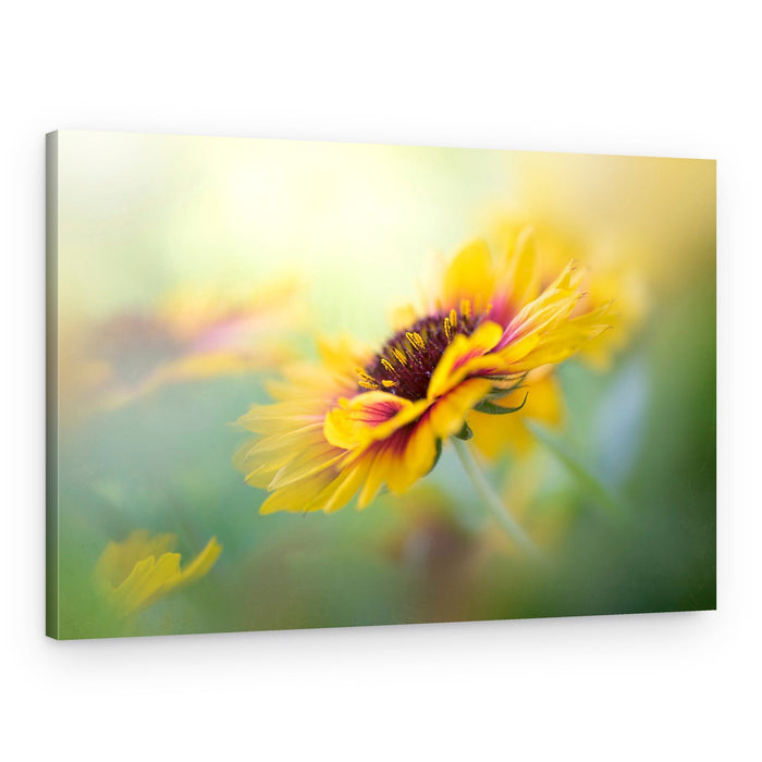 Dreamy Yellow Bloom – Canvas Print