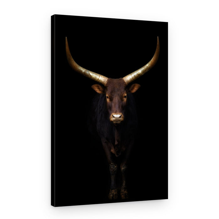 Powerful Bull Golden Horns – Canvas Print