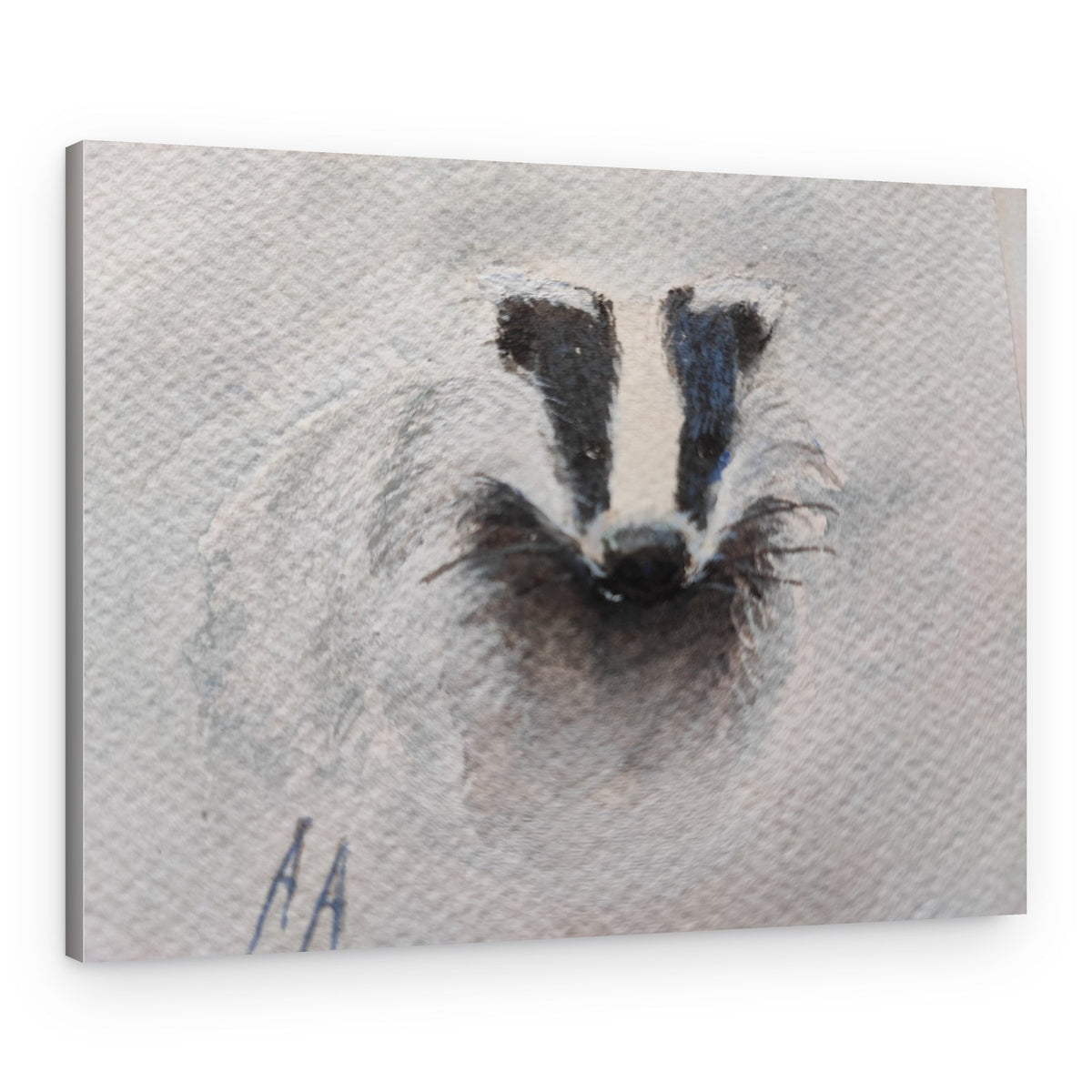 Gray Badger Gaze – Canvas Print