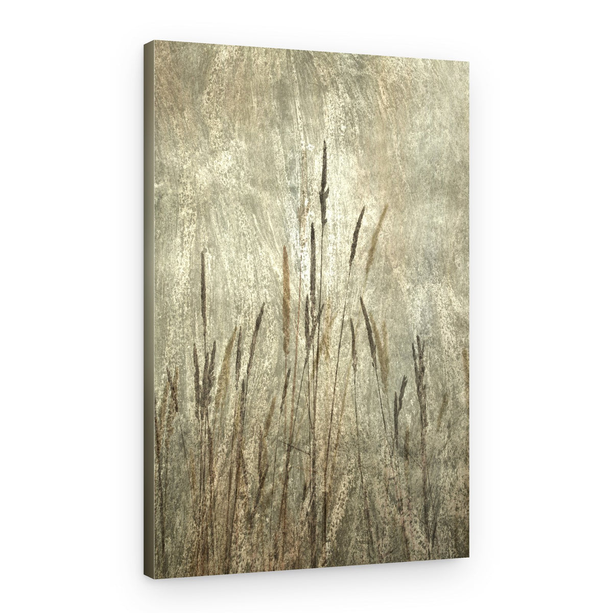Rustic Tall Grasses – Canvas Print