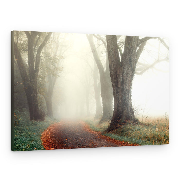 Misty Autumn Path – Canvas Print