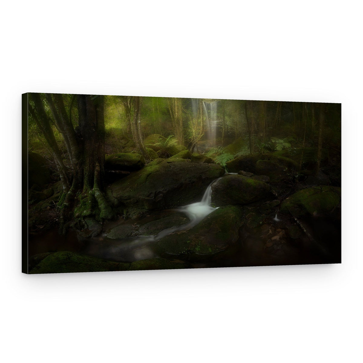 Dark Forest Waterfall – Canvas Print