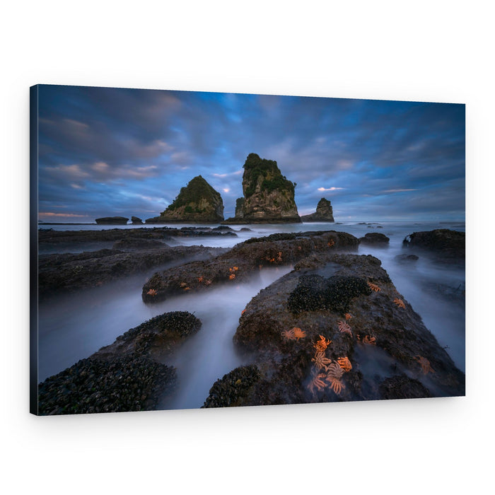 Twilight Sea Stacks and Stars – Canvas Print