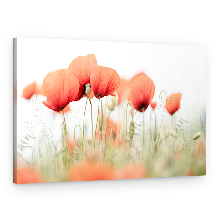 Summer day – Canvas Print