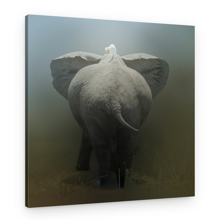 Elephant and Egret Pair – Canvas Print