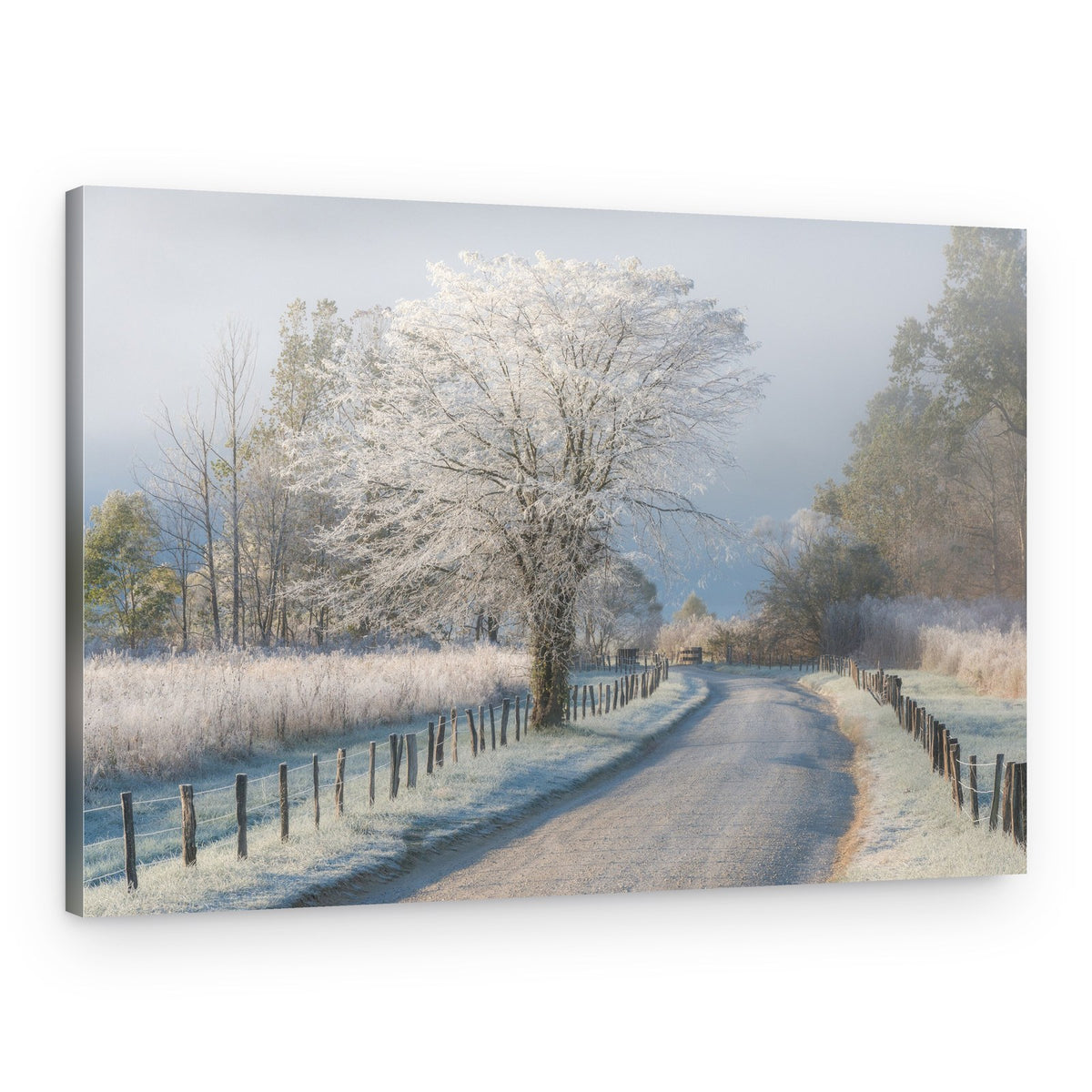Frosty Winter Road – Canvas Print