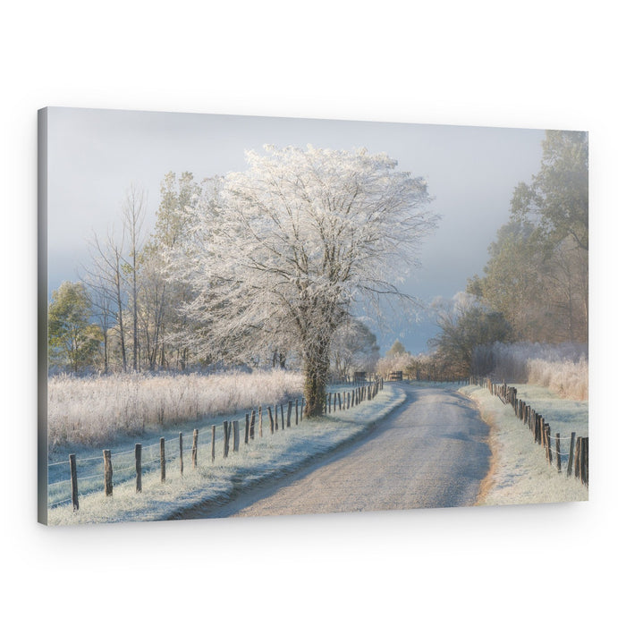 Frosty Winter Road – Canvas Print