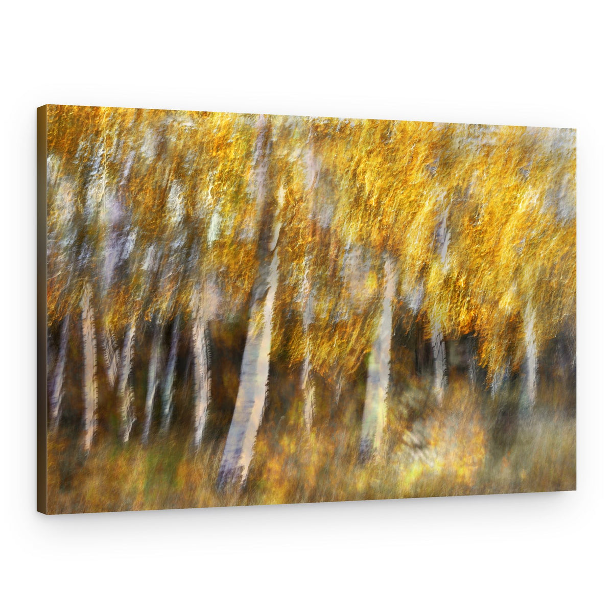 Dreamy Golden Forest – Canvas Print
