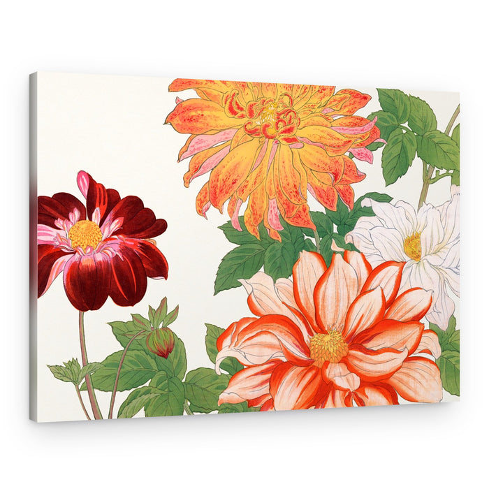 Dahlia Flower No.2 – Canvas Print