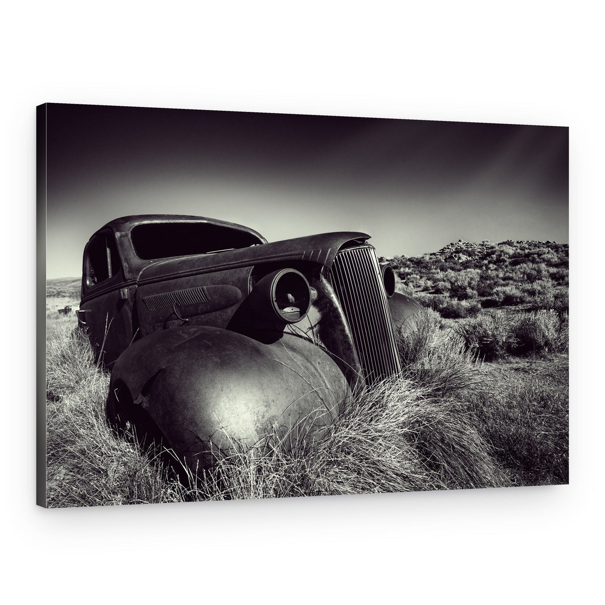 Disposed – Canvas Print