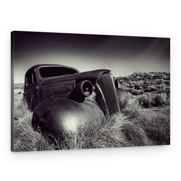 Disposed – Canvas Print