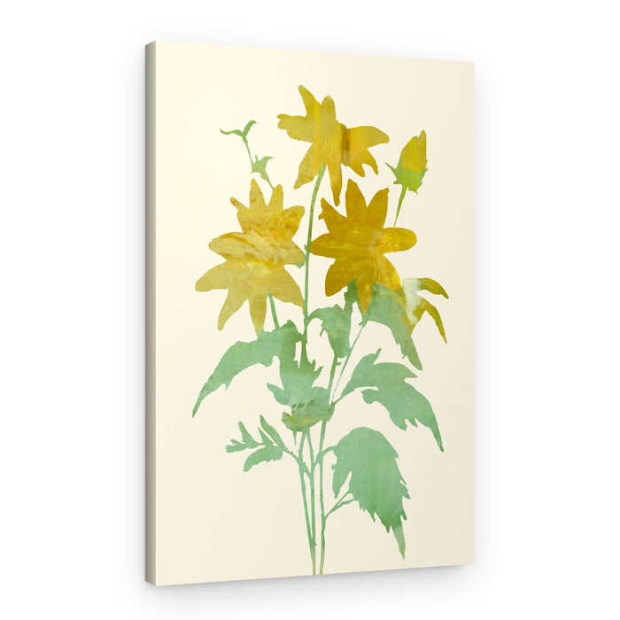 Gentle Yellow Blossoms – Canvas Print