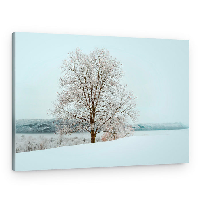 Snowy Winter Serenity – Canvas Print