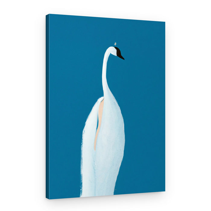 Elegant White Swan – Canvas Print