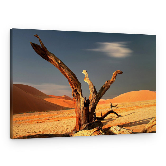 Ancient Desert Tree – Canvas Print
