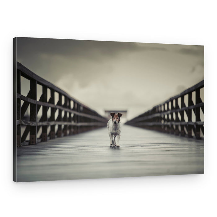 Loyal Dog on Bridge – Canvas Print