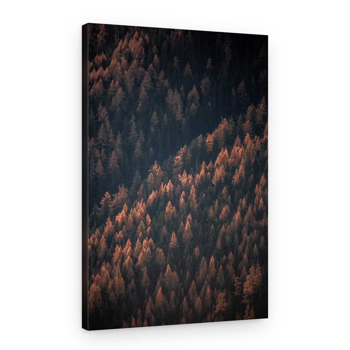 Autumn Woods 2 – Canvas Print